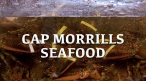 cap morrills logo graphic