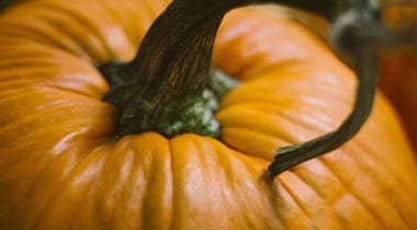 pumpkin top, stem