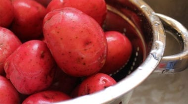 red skin potatoes