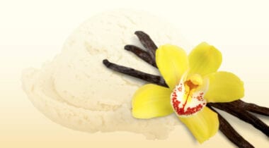 vanilla bean ice cream