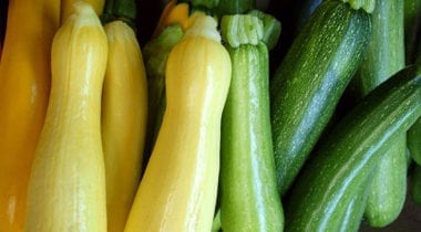 summer squash and succhini