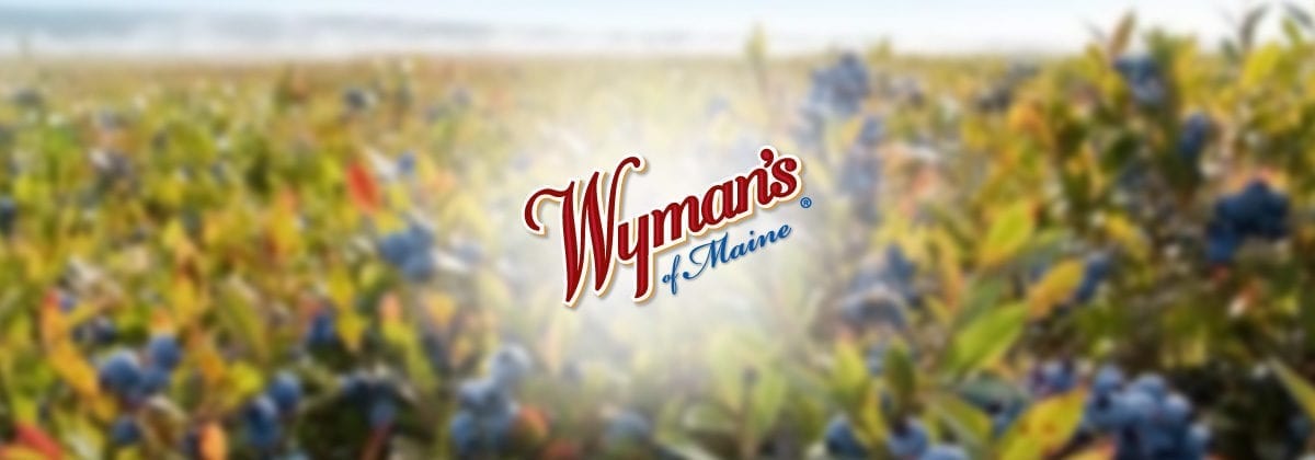 jasper wymans of maine logo