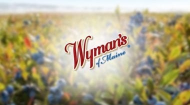 jasper wymans of maine logo